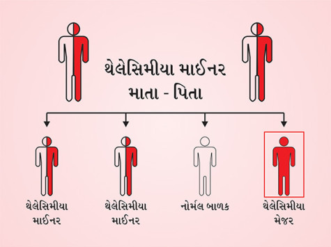 thal-chart